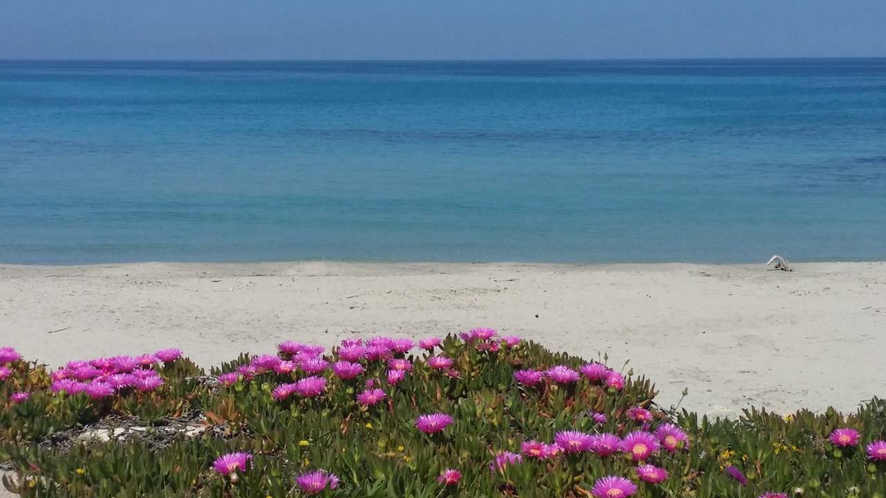 דירות סן פוקה Casa Azzurra מראה חיצוני תמונה